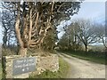 Upper and Lower Honey Hook Farms