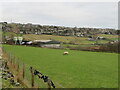 Poultry Houses, Bolster Moor