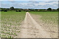 Footpath across field