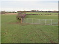 Bridleway east of Forest