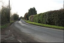 SU4899 : Sunningwell Road, Whitecross by David Howard