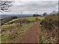 Path on Walton Hill