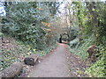 Harborne Walkway, Edgbaston (1)