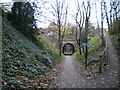 Harborne Walkway, Edgbaston (4)