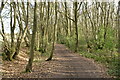 Byway, Nickley Wood