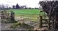 View through field gateway on west side of A6071 of Kirby Moor School