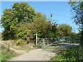 Bridleway 610 Guildford exits to Halfpenny Lane