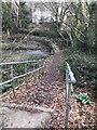 Footbridge over a stream in Tremoughdale