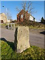 Bronze Age Standing Stone