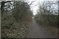 Bridleway in Halton Moor Wood