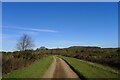 The East Devon Way approaching Four Firs Car Park