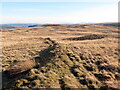 Clawdd pridd ar rostir / Earthen bank on moorland