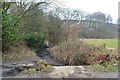 Grimescar Dike seen from The Kirklees Way, Huddersfield