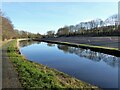 Cleared land by the canal