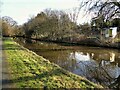 Allotments by the canal