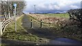 Cycle path running parallel with south side of A69 at Capontree Hill