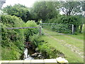 Nant y Wrach Farm