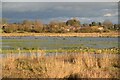 Doxey Marshes