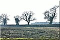 Wood Dalling: Ploughed field