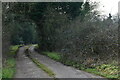 Cawston: Track leading to houses at Commonside