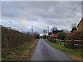 Looking southwards along Bridgetts Lane