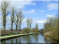 Staffordshire and Worcestershire Canal near Fordhouses, Wolverhampton