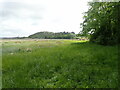 View across the saltings near Crofty