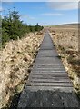 NT6906 : Boardwalk from Whitelee Moor by Oliver Dixon