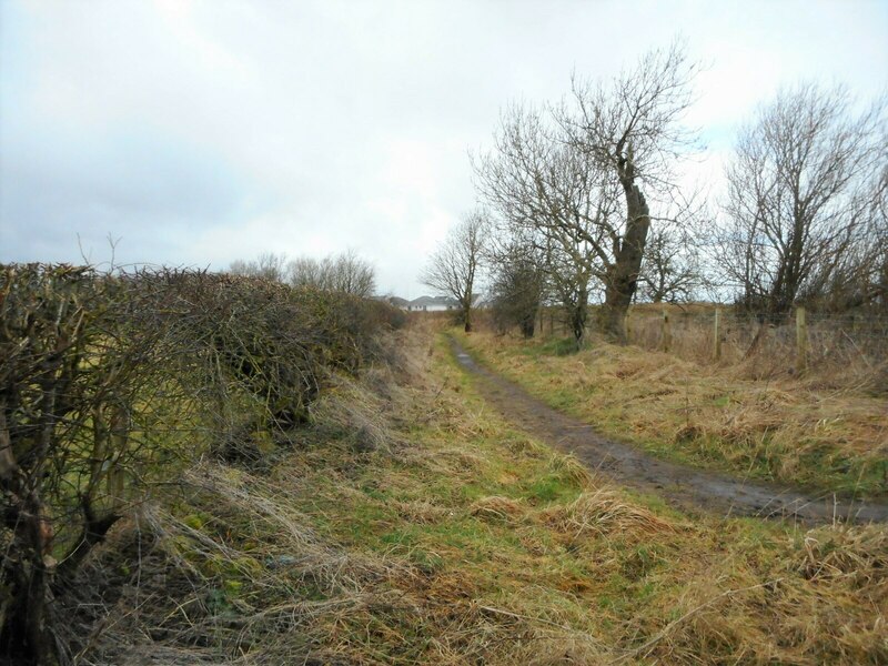 Muddy Path © Richard Sutcliffe Geograph Britain And Ireland