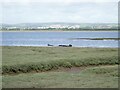 Wrecked boat in the Loughor esttuary