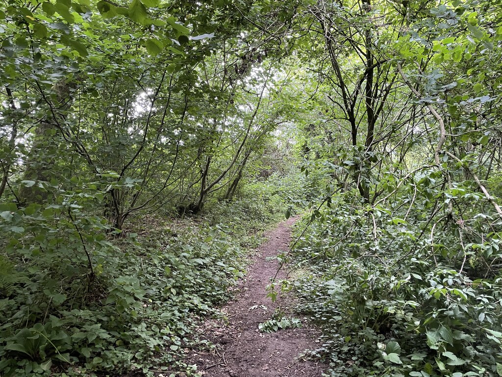 Path exiting Bazeley Copse © Fernweh :: Geograph Britain and Ireland