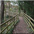 Footbridge over stream at Butler Marston