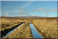 NC5125 : Moorland Track near Loch Gaineamhach, Sutherland by Andrew Tryon