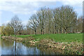 Canal and parkland near Pendeford in Wolverhampton