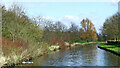 Canalside parkland near Pendeford in Wolverhampton