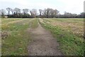 Footpath across a field