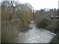 River Beane, Watton at Stone