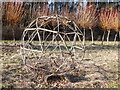 Willow geodesic, A68