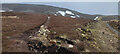 NN9274 : Footpath and vehicle track up south side of Carn a' Chlamain by Gary Dickson