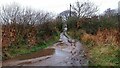 Muddy path to Brightlingsea