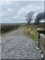 Track to Pentre Farm