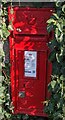 Victorian postbox in a hedge, Morton, South Gloucestershire