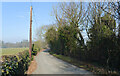 Town Street, Nidd