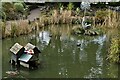 TM5491 : Lowestoft, Kensington Gardens: Pond with duck house by Michael Garlick