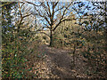 Path east from Haywards Heath Cemetery