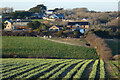 Farmland, St Agnes