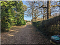 Haywards Heath Cemetery - Perimeter Nature Walk