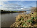 The River Trent near East Ferry