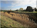 Laughton Highland Drain