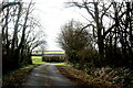 Country Lane near Folly Farm